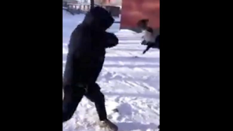 В Петрозаводске молодые люди сняли на видео свои издевательства над птицей. Потом пришлось извиняться (18+)