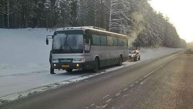 В Карелии продолжают ловить водителей автобусов, перевозящих пассажиров