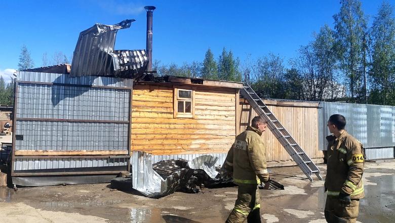 Приют для собак вспыхнул в Петрозаводске, когда работники готовили еду питомцам