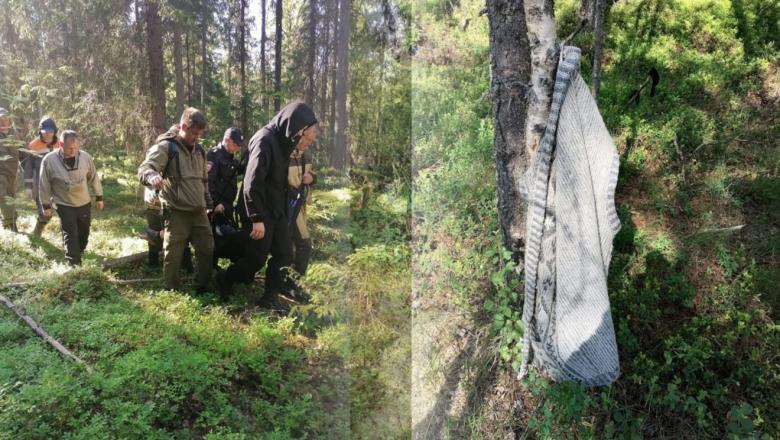 В Карелии спасли женщину, которая пять дней блуждала по лесу 