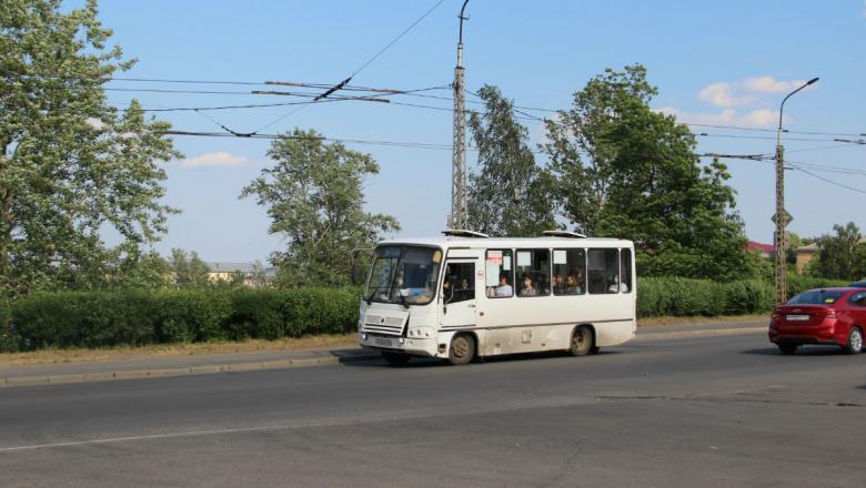 В Петрозаводске руководителя транспортной компании оштрафовали за нарушения санитарных правил