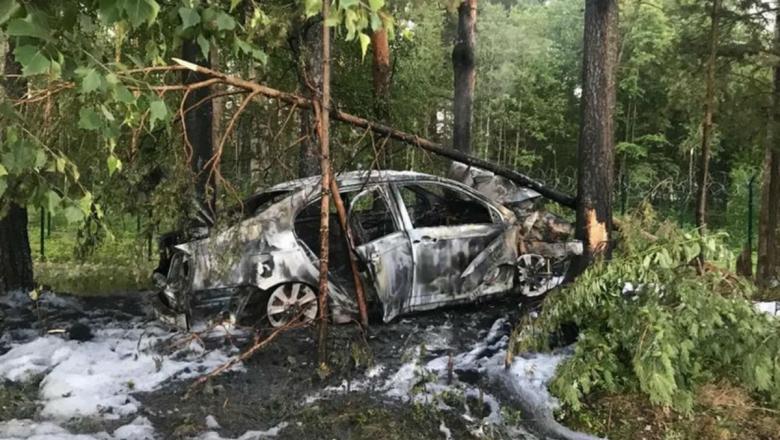 В Карелии молодой водитель врезался в дерево 