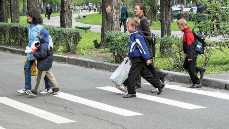 ОНФ нашел в Петрозаводске опасные школьные маршруты