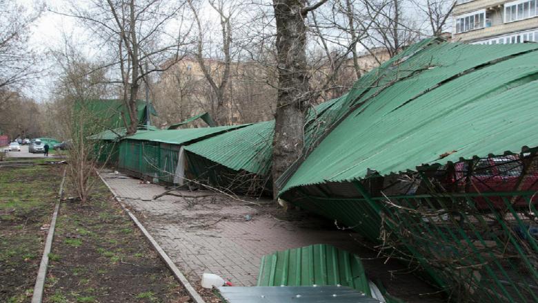 В Карелии в ближайшие сутки ожидается шквалистый ветер