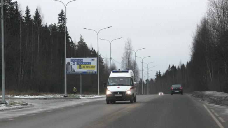 В Карелии зафиксировано еще три смерти от коронавируса 