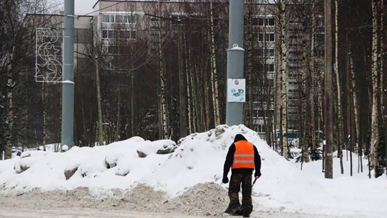 В администрации Петрозаводска объяснили, почему город не будет убираться лучше