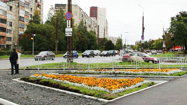 Жителям Петрозаводска предлагают заработать на озеленении города