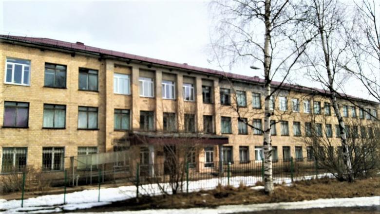 В олонецкой школе произошла вспышка острой кишечной инфекции