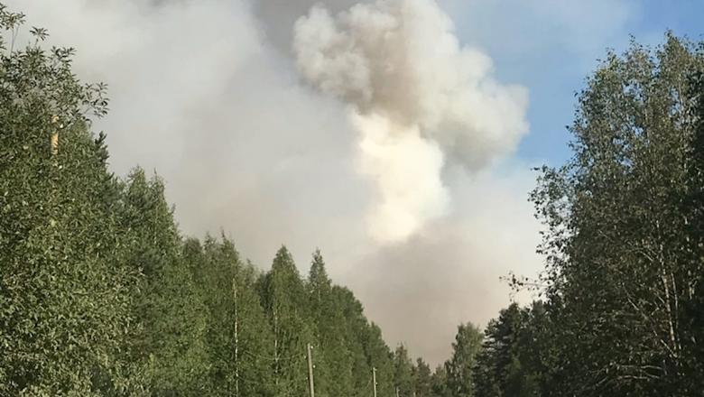 "Очень страшно!" Карельскому поселку угрожает лесной пожар