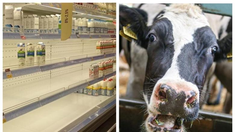 Карельские совхозы дополнительно сократили поставки молока ОМК