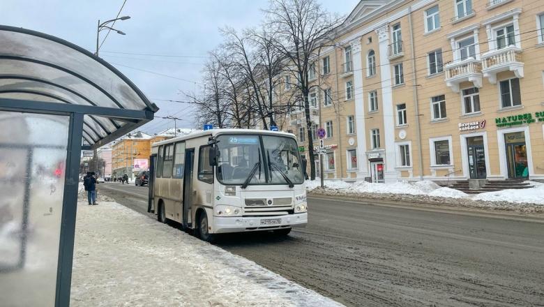 Стоимость проезда в некоторых маршрутках Петрозаводска все-таки увеличится