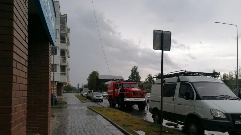 В Петрозаводске молния попала в оптоволоконный кабель в домах и расплавила его