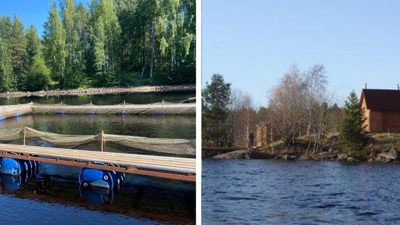 Рыбацкий комитет России поддержал жителей карельского поселка, борющихся с форелеводами