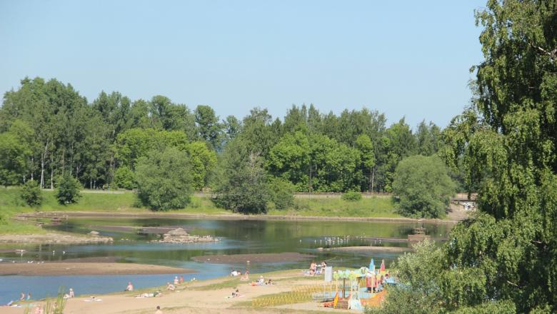 В Лососинке, в месте, где купаются петрозаводчане, обнаружили кишечную палочку