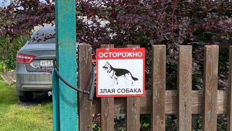 На жительницу Петрозаводска напала крупная собака без намордника