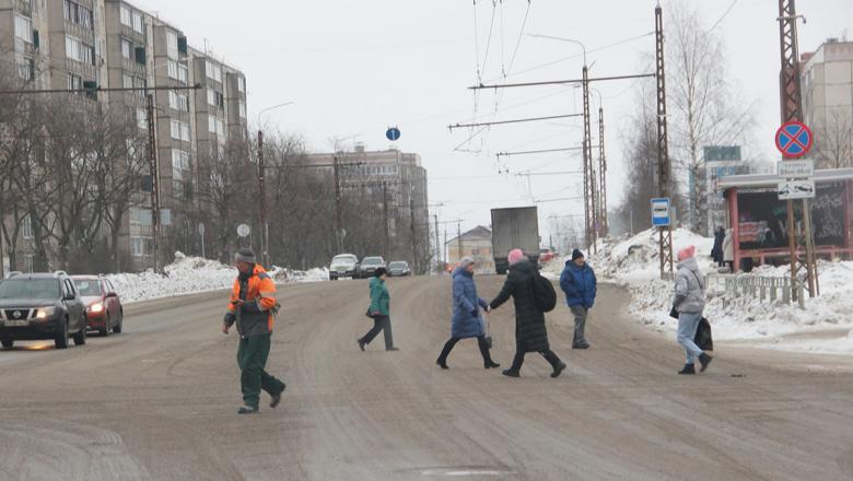 В Олонецком районе водитель оспорил штраф за непропущенного пешехода
