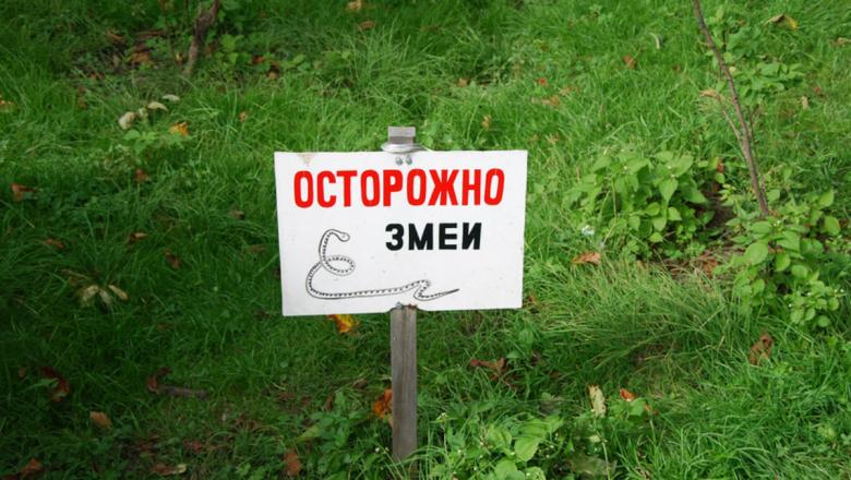 Картинка осторожно змеи