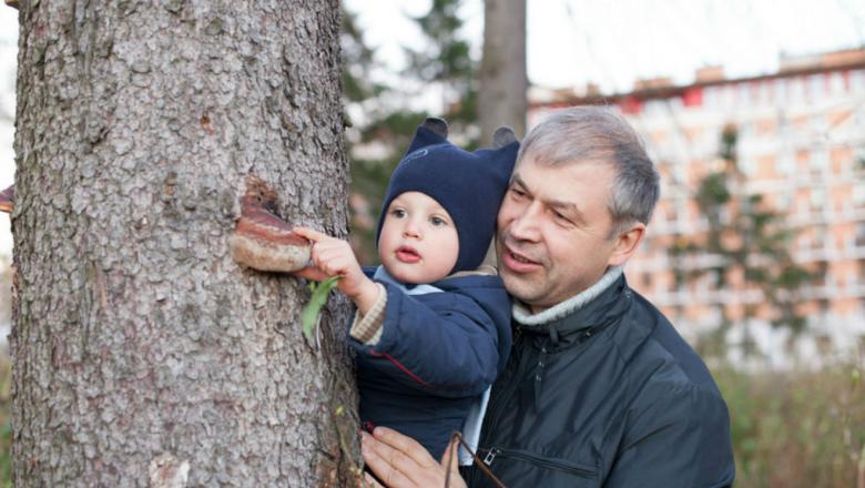 Дед хочет внука. Ребенок показывает на дерево.