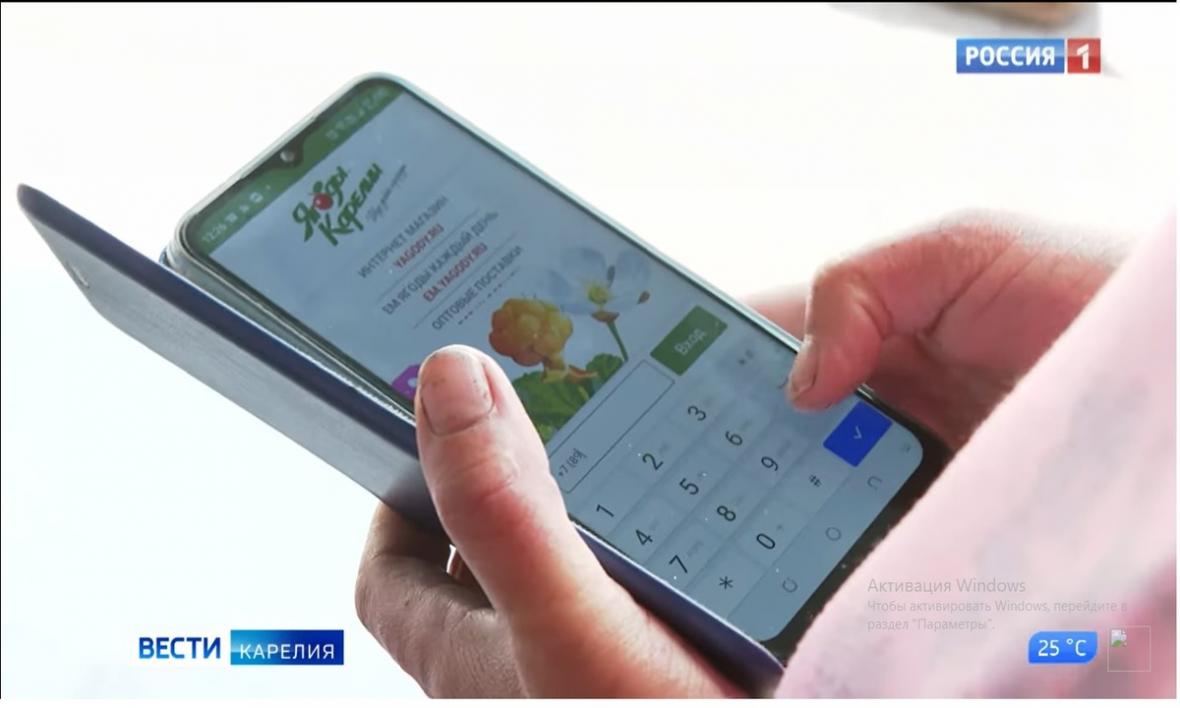 Карельское предприятие разработало мобильное приложение для сборщиков ягод  и грибов | 16.08.2022 | Новости Петрозаводска - БезФормата