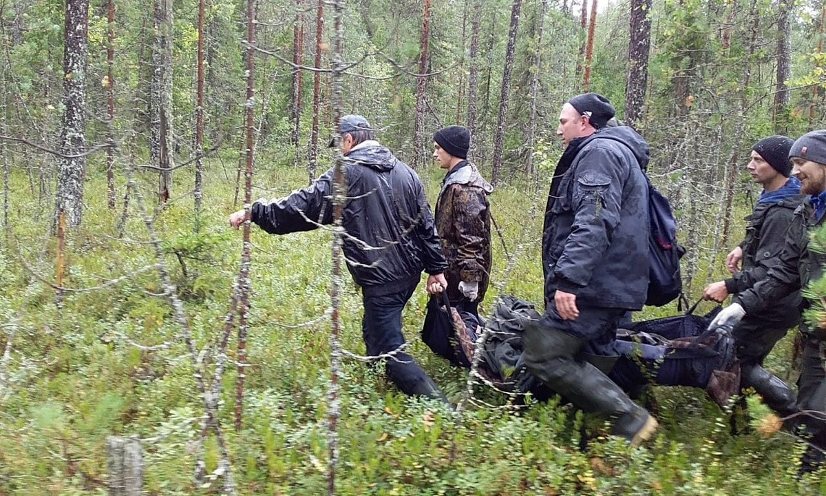 Поймали в лесу. Карельские леса. Заблудился в лесу. Грибники в лесу. Сентябрь в лесу.