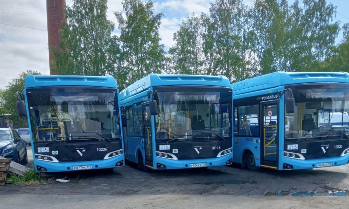 В Петрозаводске в новых автобусах оплату будет принимать водитель |  29.06.2023 | Новости Петрозаводска - БезФормата